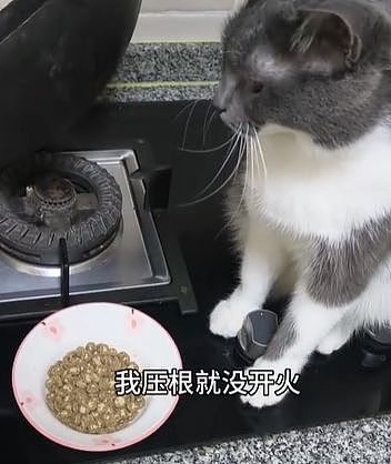 因为太爱喊“高考加油”，中国网友开始用“底层代码”解释全网抽象行为？ - 27