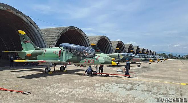 匈牙利空军接收第一批L-39“天狐”教练机 可以执行轻型战术任务 - 9
