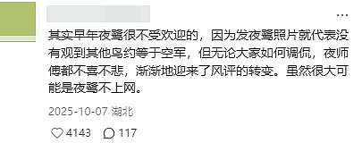 从路边一条逆袭成全网顶流的夜鹭，带抽象观鸟区走向大众？ - 29