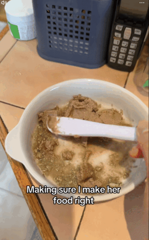 妹子因为焦虑领养了一只小猫， 没想到猫看起来比她还焦虑……网友：它把你所有焦虑都吸自己身上了！ - 8