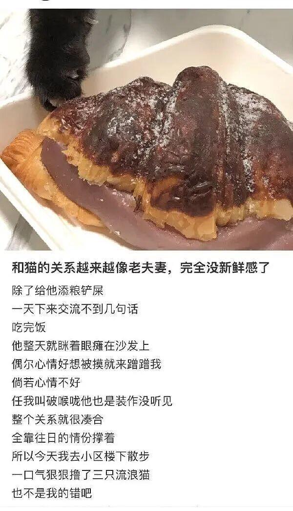 和老婆去按摩店拔罐，现场老惨了：媳妇拔的是要钱我拔的是要命啊 - 9