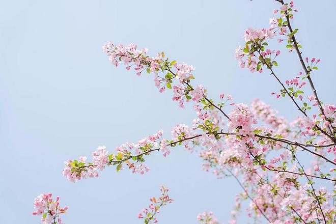 亲家母带孩子，儿媳妇让我每月给5000，我不同意，儿子帮儿媳为难我 - 3