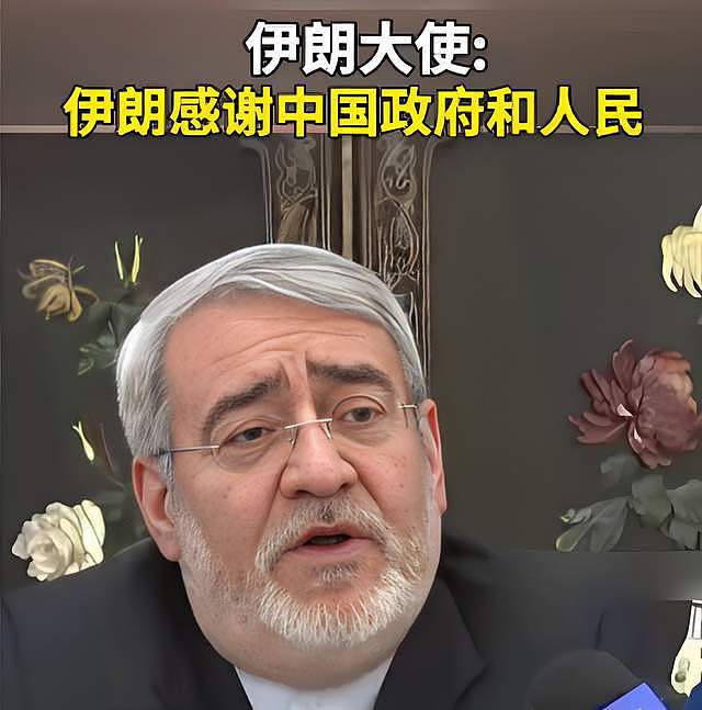 伊朗大使感谢中国，盘点给伊朗出的10个好主意，其中可能有你的 - 1