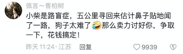 分手后狗狗被带走，凌晨三点主人开门……狗小心翼翼地出现在门口：别不要我啊，我会乖乖听话的！ - 3