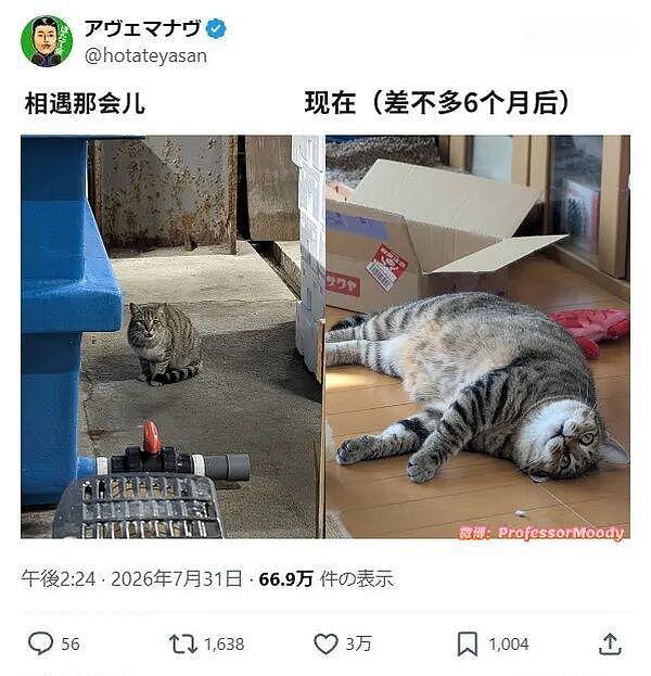 女友闺蜜喝大了，开车送她回家结果她吐我一车该咋办?在线等挺急的... | 今日悉尼