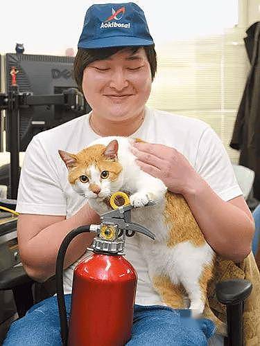 大橘骚扰公女员工惨遭逮捕,警察蜀黍笑哭:太胖了,抬不动! - 9