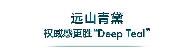 什么颜色真的有老钱感？ - 9