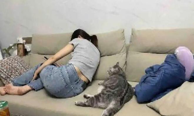 猫和老公一起看电视时同步回头，主人瞬间发现了真相：原来它们真的会偷偷拜师学艺… - 9