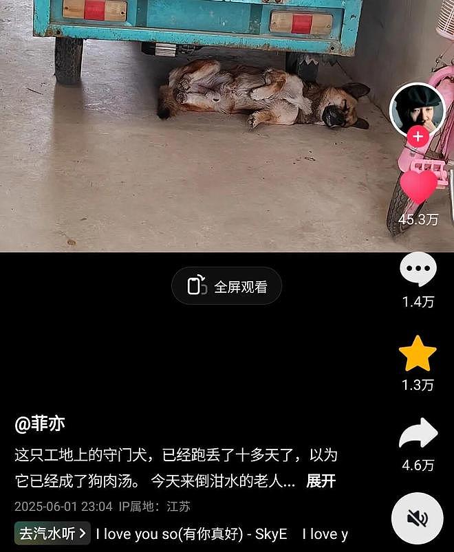 工地看门狗走丢10天，找到时它正躺在别人家装睡，结局看得很多网友都泪目了… - 6