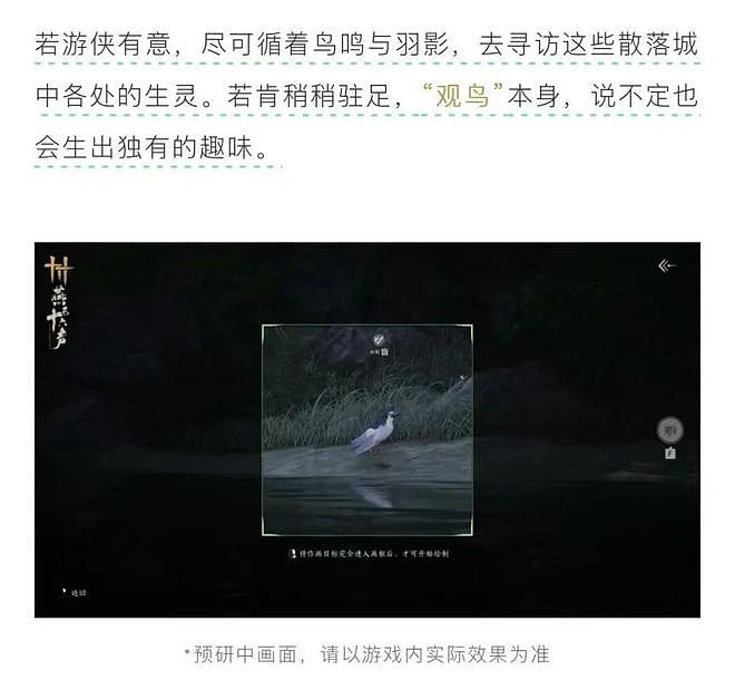 从路边一条逆袭成全网顶流的夜鹭，带抽象观鸟区走向大众？ - 13