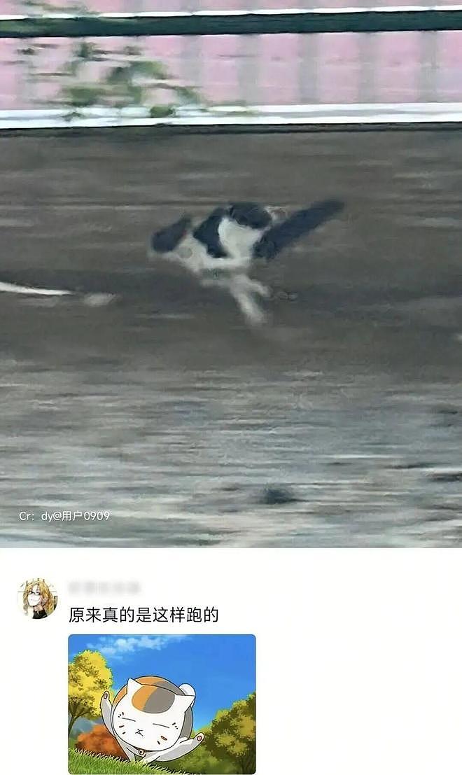 KTV居然搞女服务员盲盒，大家看这每人头上罩个黑塑料袋该怎么选啊？ - 22