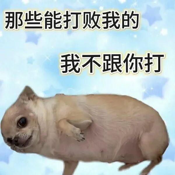 和刚交往的女生出去吃饭喝多了，结果后续反转把我酒醉都气清醒了555 - 12