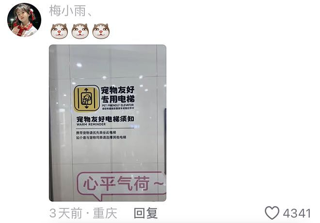 重庆街头出现离谱一幕：一群人围着给流浪猫扇风……网友：川渝猫已经活明白了！ - 19
