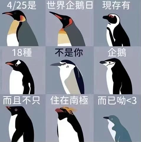 从路边一条逆袭成全网顶流的夜鹭，带抽象观鸟区走向大众？ - 24