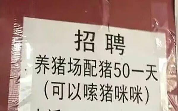 老婆漂亮还会跳舞千万别发网上炫耀,视频评论太过份了：简直杀人诛心 - 12