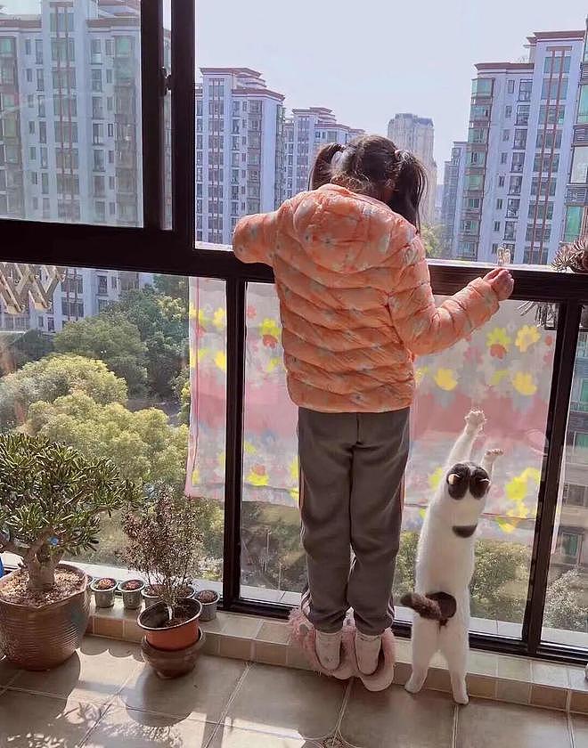 猫和老公一起看电视时同步回头，主人瞬间发现了真相：原来它们真的会偷偷拜师学艺… - 4