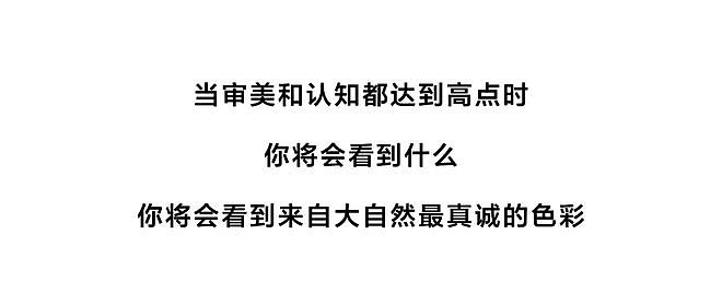 什么颜色真的有老钱感？ - 4