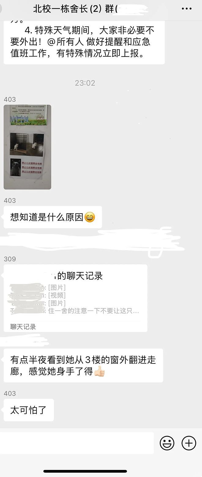 宿舍电梯贴出三遍警告：禁止此猫乘坐！真相曝光后，大家都被暖到了！ - 5