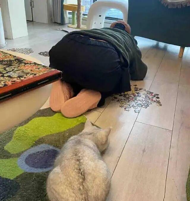 猫和老公一起看电视时同步回头，主人瞬间发现了真相：原来它们真的会偷偷拜师学艺… - 10