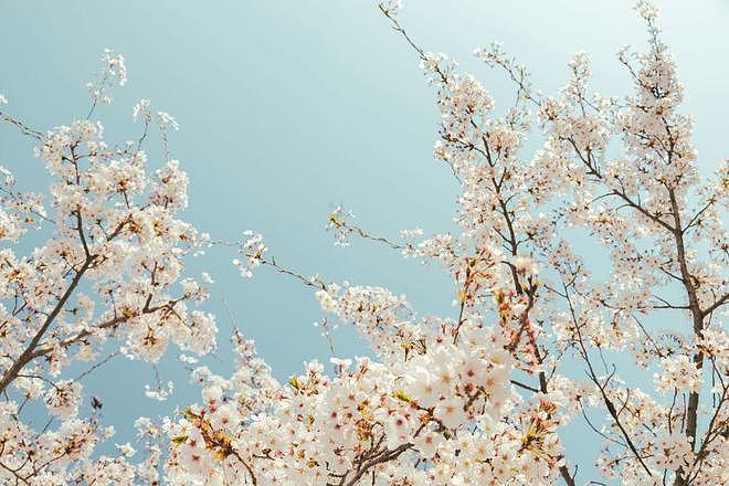 婆婆帮姑姐带娃12年，老了说要落叶归根，我回娘家让老公看着办 - 4
