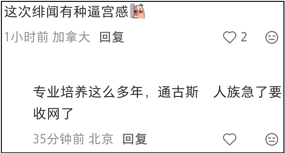事态升级!霍启刚评论区沦陷,准弟媳娜然家世曝光被质疑辱华 - 23