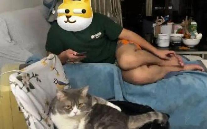 猫和老公一起看电视时同步回头，主人瞬间发现了真相：原来它们真的会偷偷拜师学艺… - 8