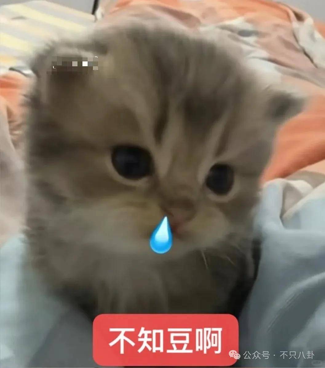 被传即将要三搭她却亲自下场拆cp,他俩的cp粉真有点惨啊...... - 66