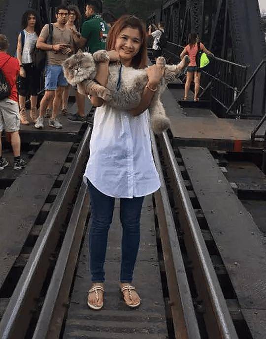 100斤的胖猫比煤气罐大引人纷纷围观拍照,美女惊呼:看到它的八块腹肌了!! - 14