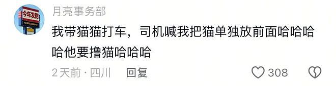 重庆街头出现离谱一幕：一群人围着给流浪猫扇风……网友：川渝猫已经活明白了！ - 9