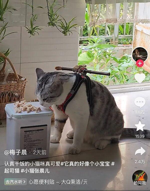 KTV把女服务员全拉到广场舞现场揽客，这跳起舞来大爷笑呵呵大妈哭晕在厕所 - 19