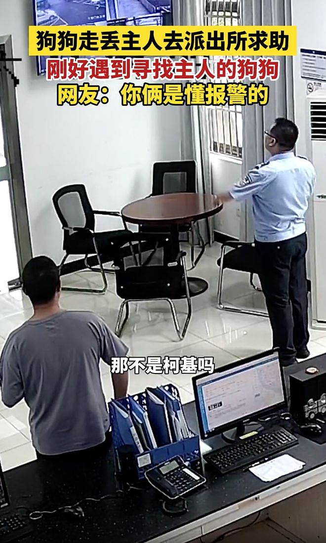 男子急匆匆跑进派出所报案“柯基被偷了”，民警一看狗狗就在派出所门口……网友：但凡小狗腿再长点都追上你了！ - 3