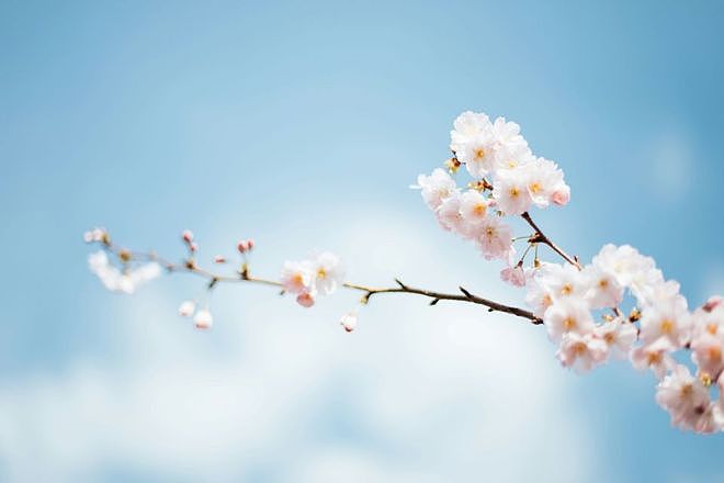 亲家母带孩子，儿媳妇让我每月给5000，我不同意，儿子帮儿媳为难我 - 4