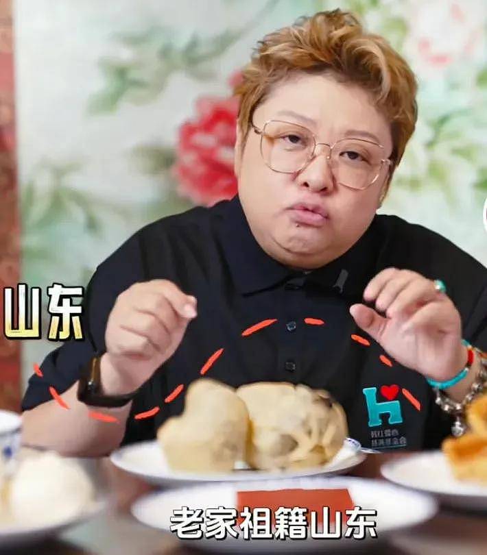 韩红越扒越有！开跑车挪用军牌、带明星去灾区，多次被质疑作秀 - 3