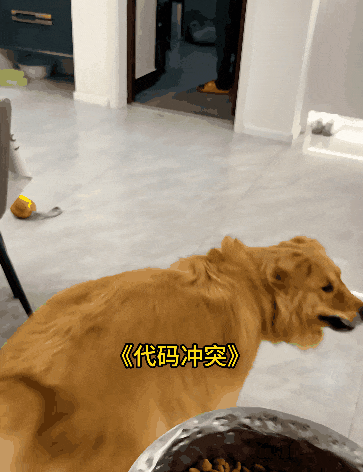 因为太爱喊“高考加油”，中国网友开始用“底层代码”解释全网抽象行为？ - 31