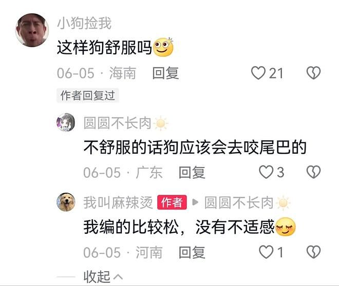 主人帮狗子编发绳，编着编着发现不对劲，怎么出现了一条响尾蛇……狗子：城里人就是花样多！ - 4