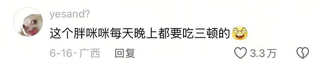 学姐毕业走了，流浪猫蹲在宿舍门口等了一整天，低着头不肯离开……喵：人，毕业了也不跟学长说一声 - 6