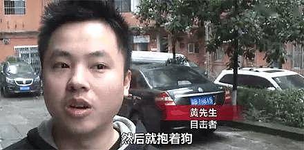哈士奇从10楼跳下，砸坏路边奥迪，车损至少两万!二哈:不挑豪车砸对不起我的身价! - 4