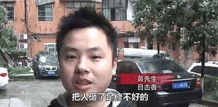 哈士奇从10楼跳下，砸坏路边奥迪，车损至少两万!二哈:不挑豪车砸对不起我的身价! - 5
