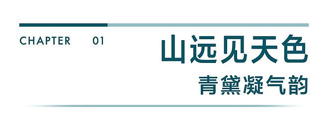 什么颜色真的有老钱感？ - 3