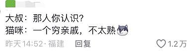 狸花猫离家出走十几天后回家疯狂炫饭，边吃边喵喵叫：我在外面过的到底是什么日子啊！ - 5