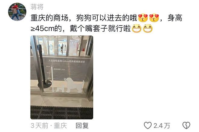 重庆街头出现离谱一幕：一群人围着给流浪猫扇风……网友：川渝猫已经活明白了！ - 18
