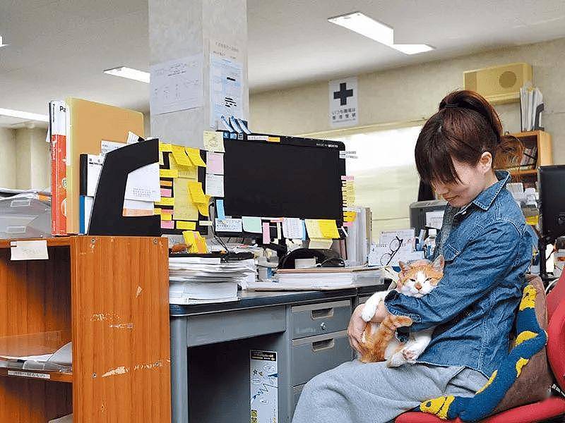 大橘骚扰公女员工惨遭逮捕,警察蜀黍笑哭:太胖了,抬不动! - 18