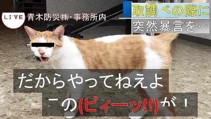 大橘骚扰公女员工惨遭逮捕,警察蜀黍笑哭:太胖了,抬不动! - 11