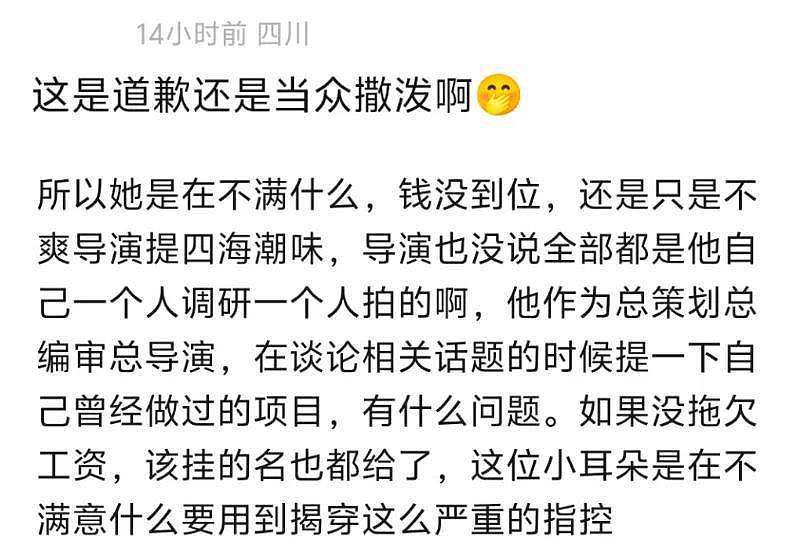 《给阿嬷的情书》导演遭背刺！被内涵吃独食，共患难易同富贵难 - 20