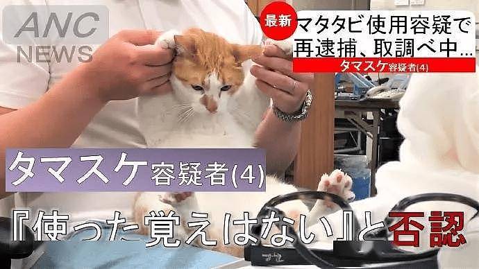 大橘骚扰公女员工惨遭逮捕,警察蜀黍笑哭:太胖了,抬不动! - 14