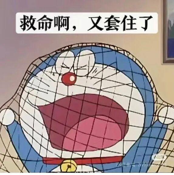 全网刷屏的「韩国女孩的黄金时代」怎么这么快结束了？ - 17