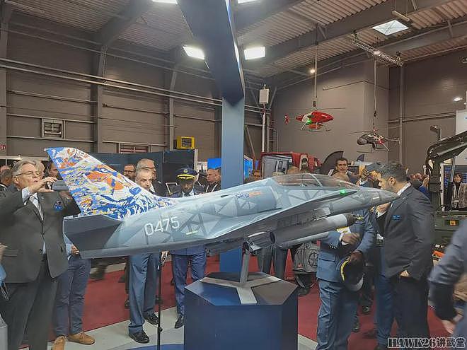 匈牙利空军接收第一批L-39“天狐”教练机 可以执行轻型战术任务 - 8