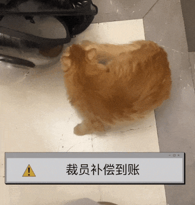 被裁员后别人收拾工位，她直接把大橘同事抱走了……这赔偿可还行？ - 9