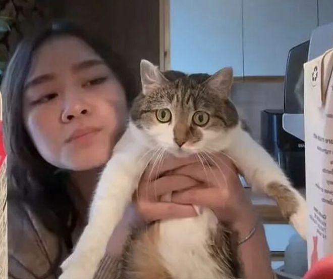 妹子因为焦虑领养了一只小猫， 没想到猫看起来比她还焦虑……网友：它把你所有焦虑都吸自己身上了！ - 2