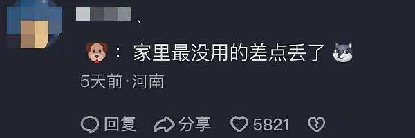 上山捡菌子把自己捡丢了，小姐姐在山林里吓坏了…狗子们出现的那一刻，直接泪崩！ - 6